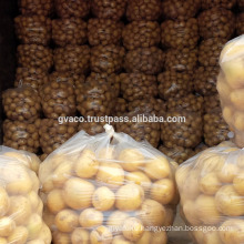 New listing yellow round fresh potato exporter top quality in Vietnam-Gvaco